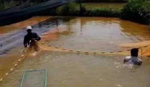 水渾了？不用怕，這五個方面讓水質恢復清新