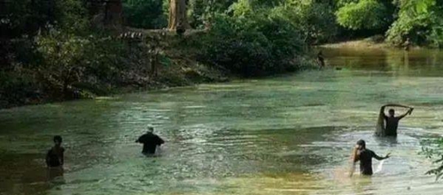 水渾了？不用怕，這五個方面讓水質恢復清新